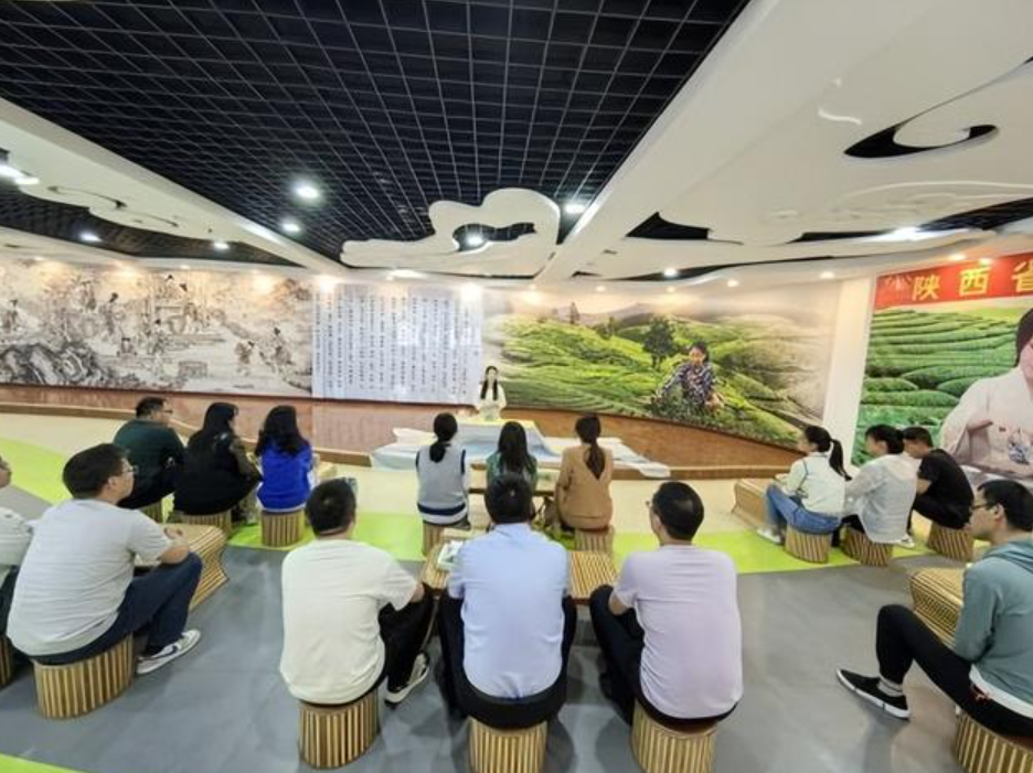 商洛市商南县试马镇开展茶文化知识讲座
