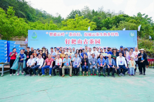 钉耙山挂牌“普洱茶基因物种库和保护基地”