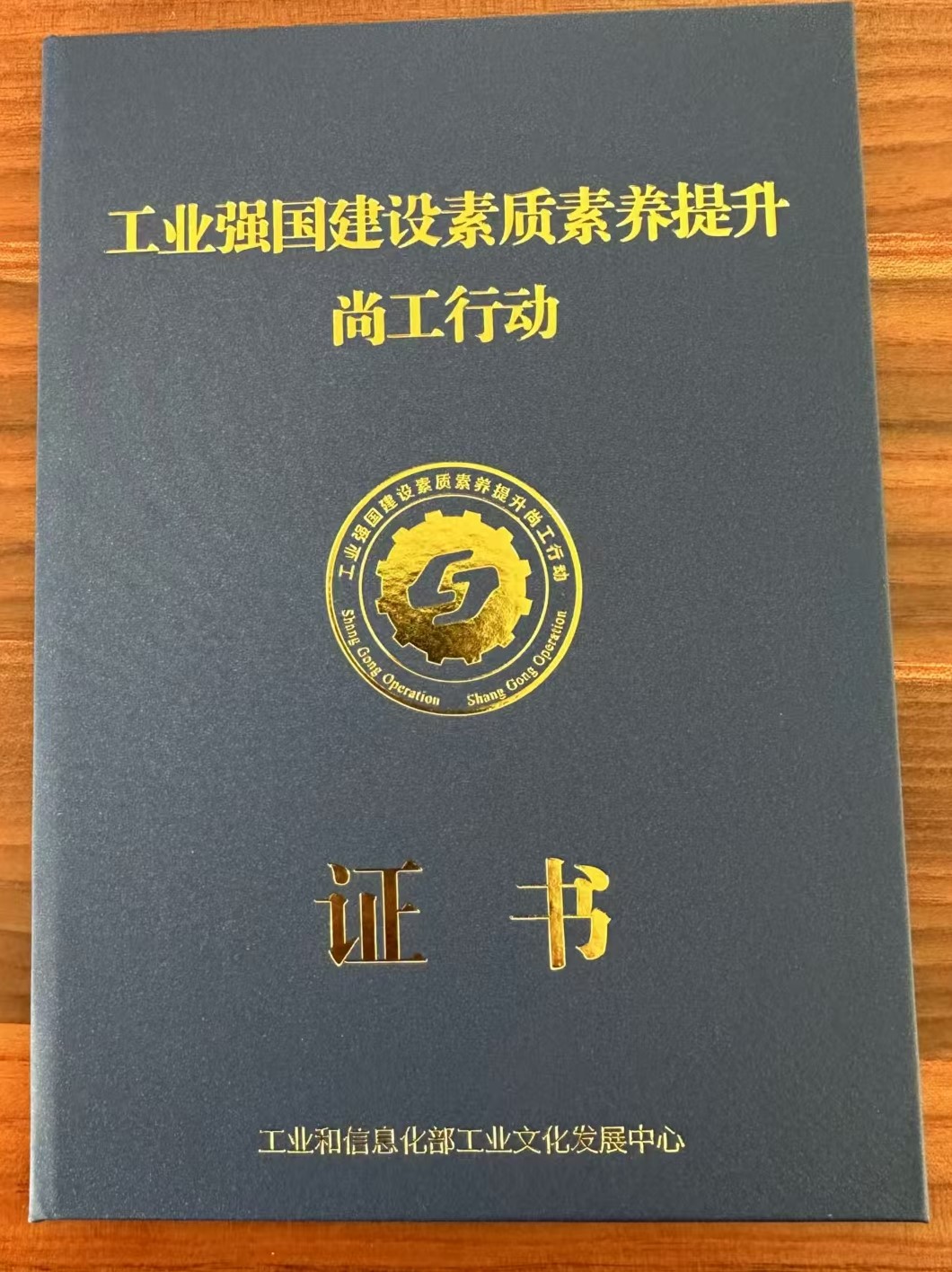 国家高级艺术品鉴赏师